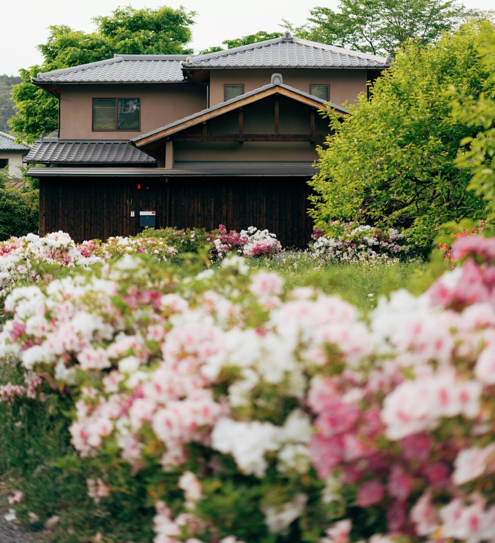 A serene view of a traditional Japanese house surrounded by colorful spring blooms.